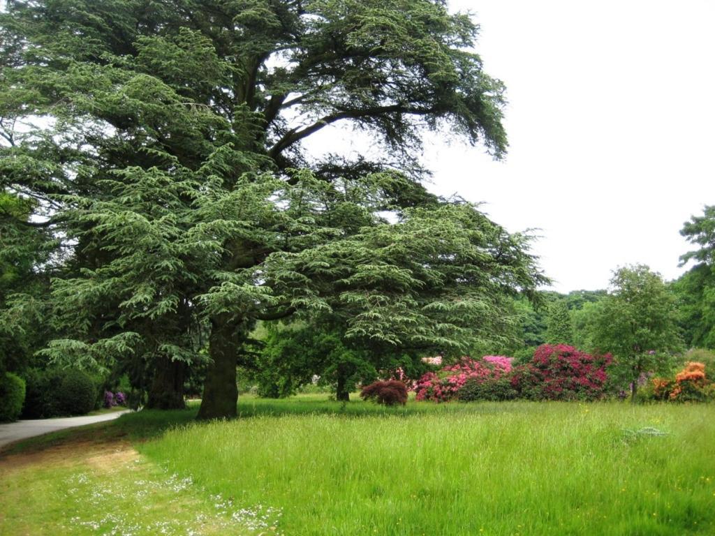 Willington Hall Hotel Tarporley Luaran gambar