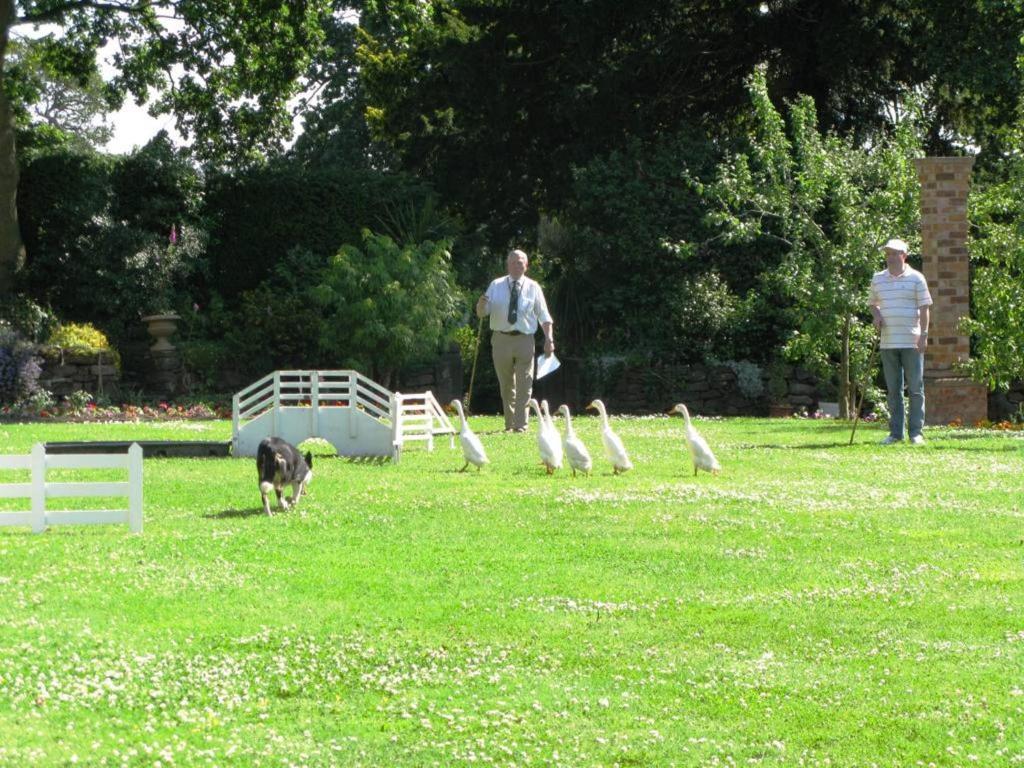 Willington Hall Hotel Tarporley Luaran gambar
